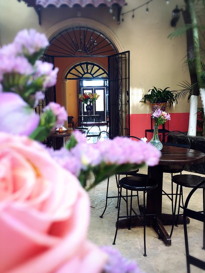Casa Catrina&Diego Hotel Merida Bagian luar foto