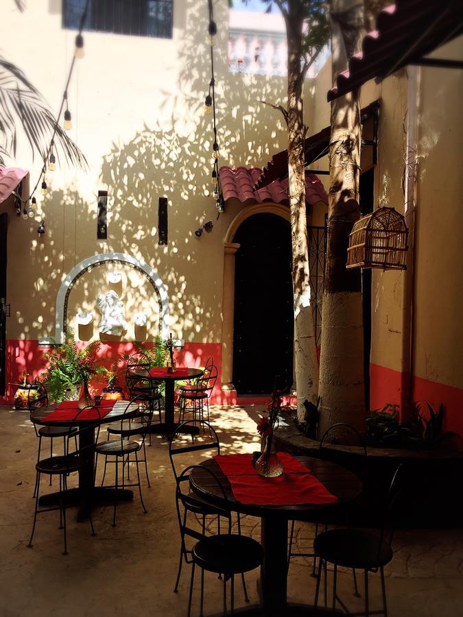 Casa Catrina&Diego Hotel Merida Bagian luar foto